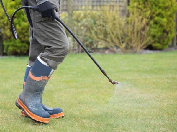 Photo of someone using liquid fertiliser on their lawn, to show the difference between liquid and granular fertiliser.