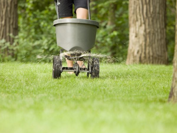 Photo of someone reapplying fertiliser on their lawn.