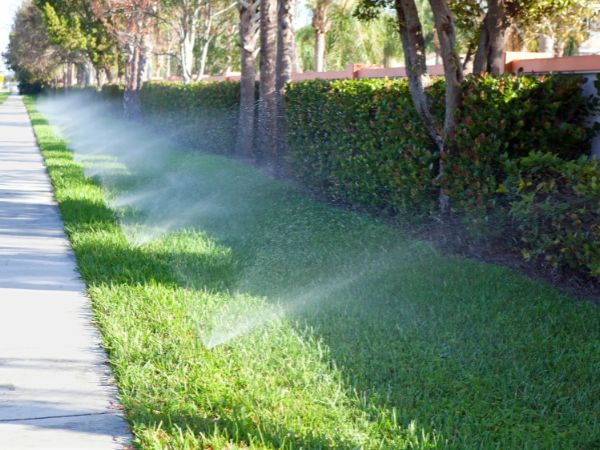 Photo of the lawn being watered after fertilisation.