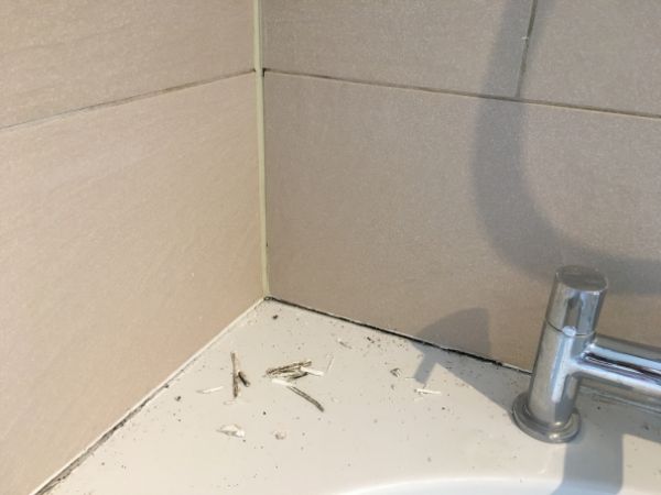 A bathroom sink corner with worn and damaged silicone sealant, illustrating the need for high-quality products like Soudal Trade Quality Silicone for long-lasting and effective sealing.