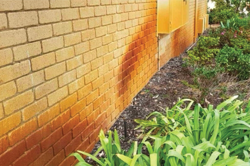 Bore stains on a brick wall near garden beds, demonstrating the effects of bore water and how rust can spread on exterior surfaces.