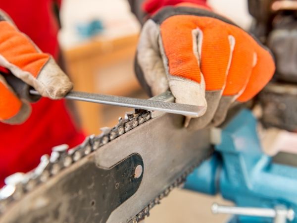 Chainsaw being sharpened with a file by a person wearing orange safety gloves