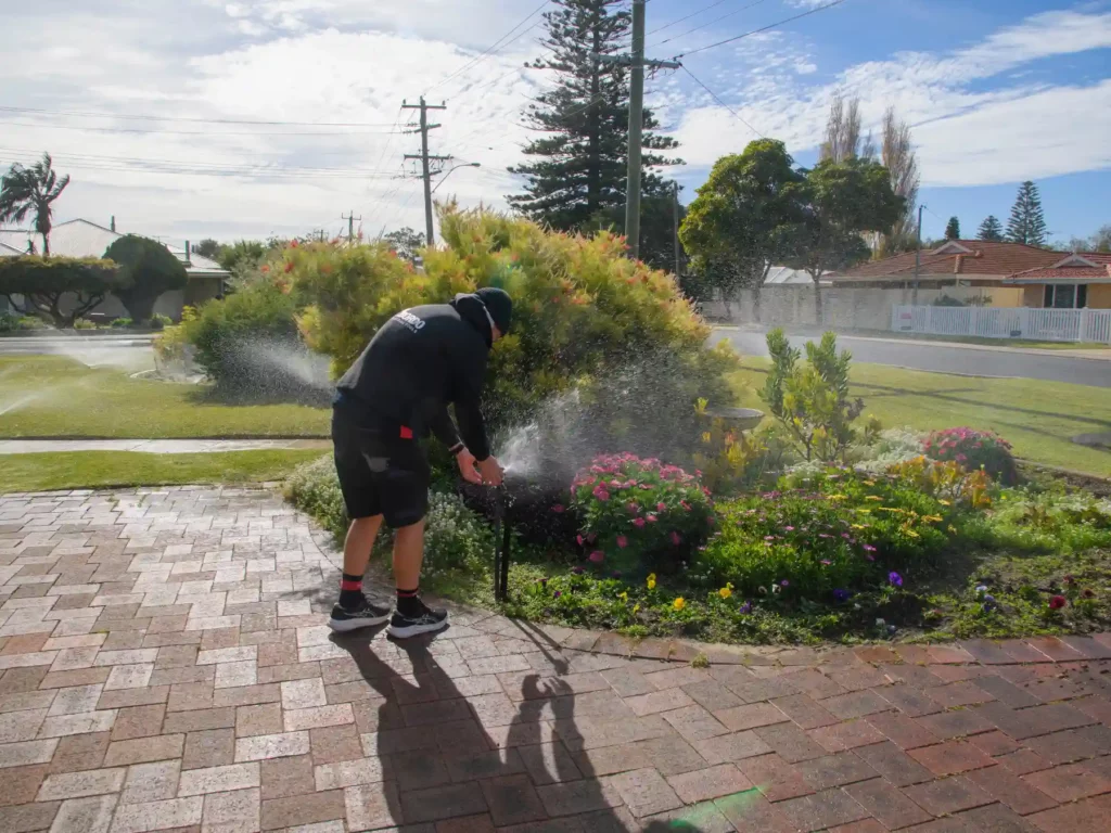Matt leaning down to adjust a pop-up sprinkler head in a lush garden bed next to a paved brick driveway while the irrigation system sprays a fine mist of water.